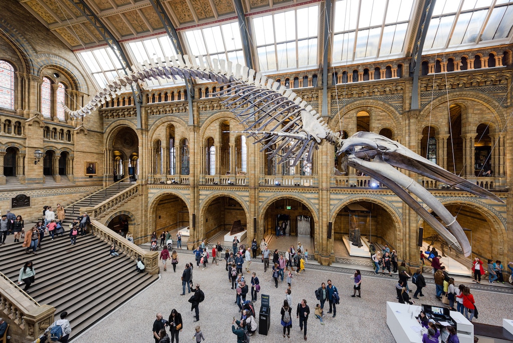 Natural History Museum