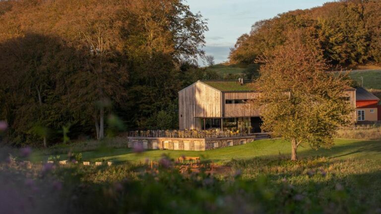 Glamping in Denmark - 12 best unique Danish places to stay (2024)