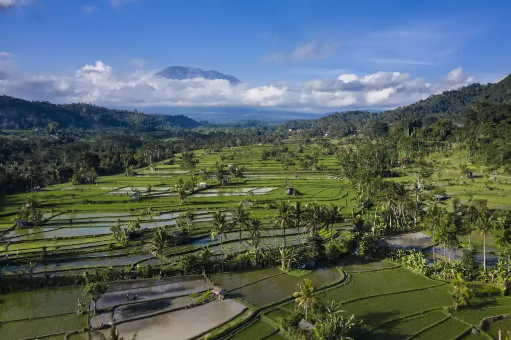 Sidemen, best place to stay in Bali