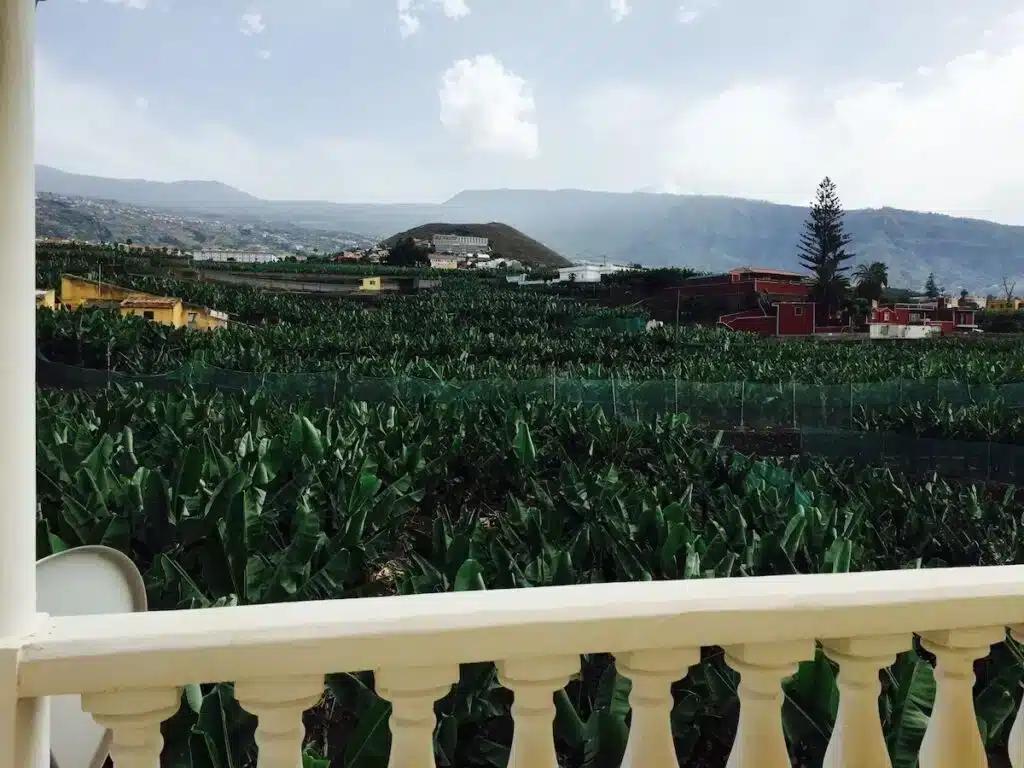 Where to Stay in Tenerife? 5 Best Areas + Places to Stay ☀️ 63 Apartamentos Villa Rosalva