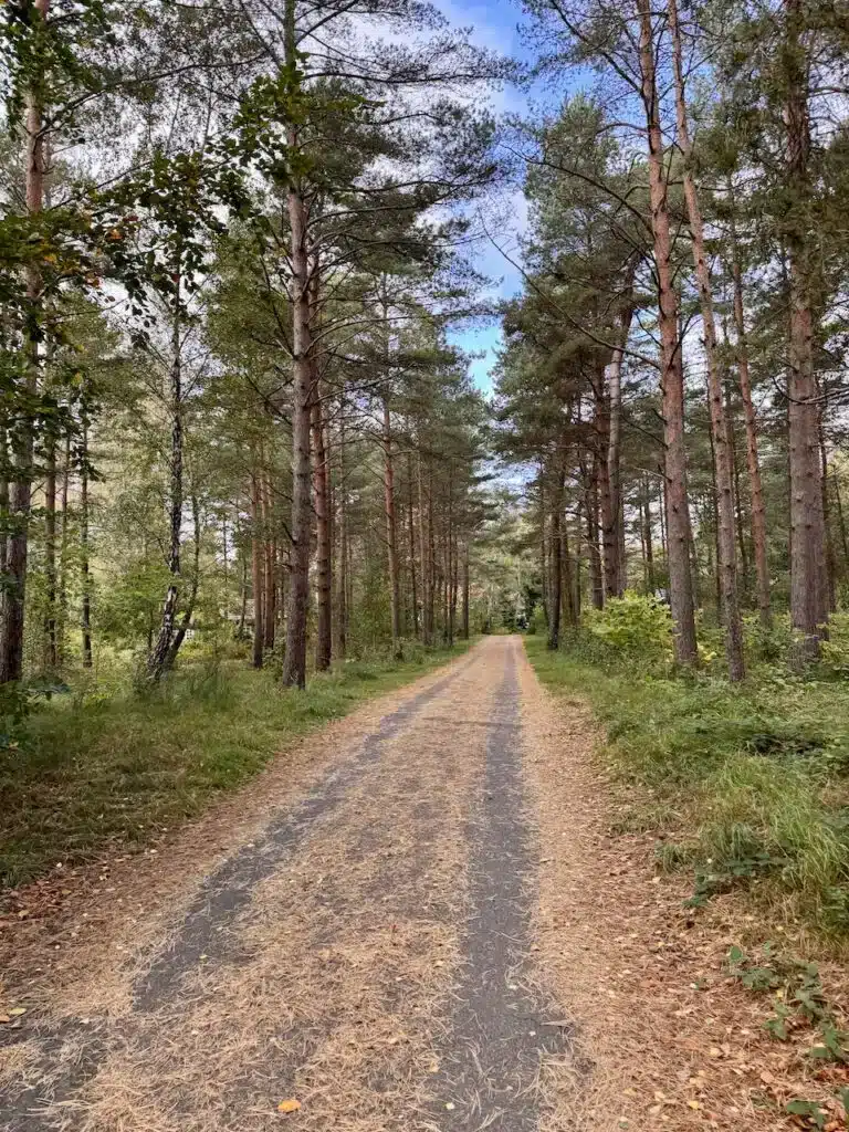 Review: Ystad Saltsjöbad - Is It Still Skåne's Best Spa Hotel? 🤔 20 ystad forest