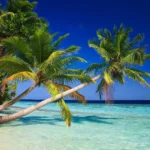 Where to Stay in the Maldives? The 6 Best Islands + Places to Stay 🏝️