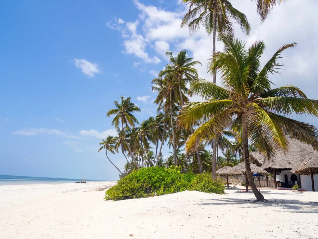 Paje, best place to stay in Zanzibar for a young and laid-back vibe