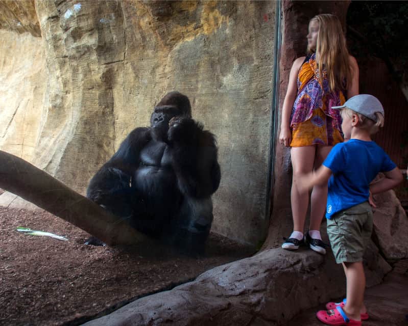 Bioparc Fuengirola on the Costa del Sol