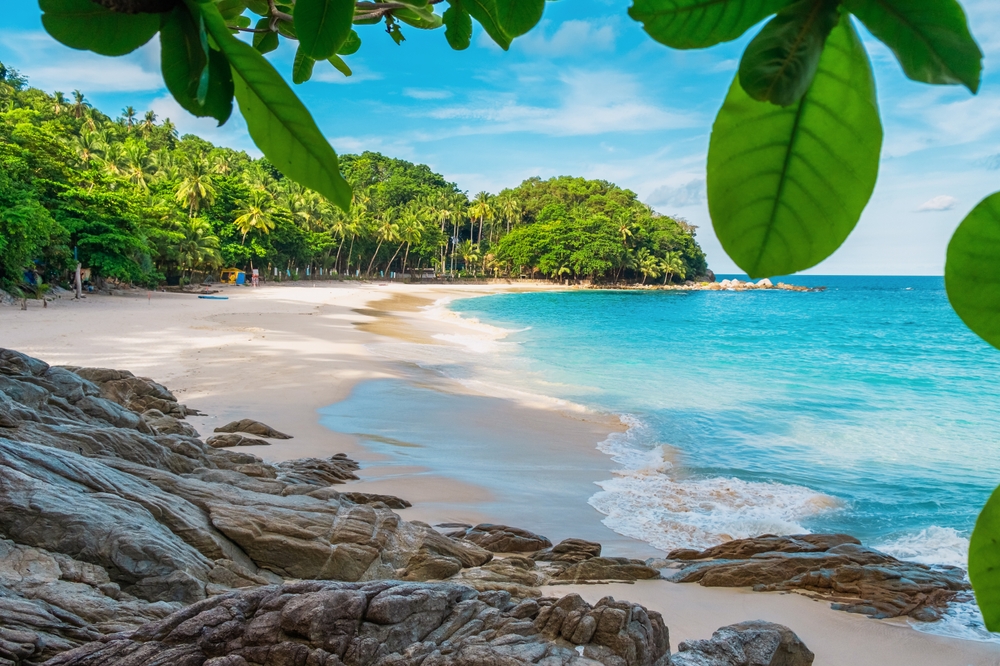 Freedom Beach in Phuket with palm trees and turquoise water