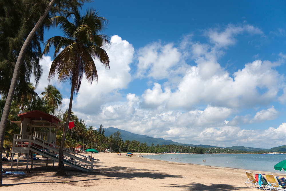Palm trees along the beach in Luquillo in Puerto Rico