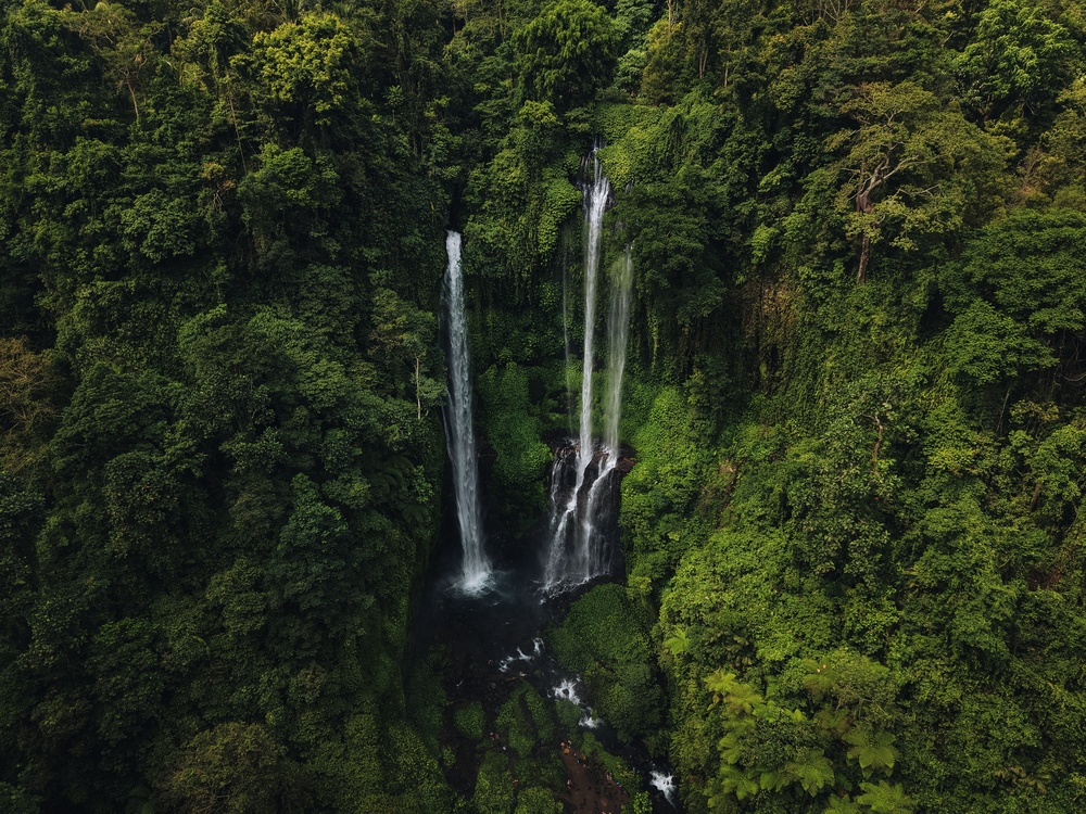 Sekumpul waterfalls in the jungle of northern Bali