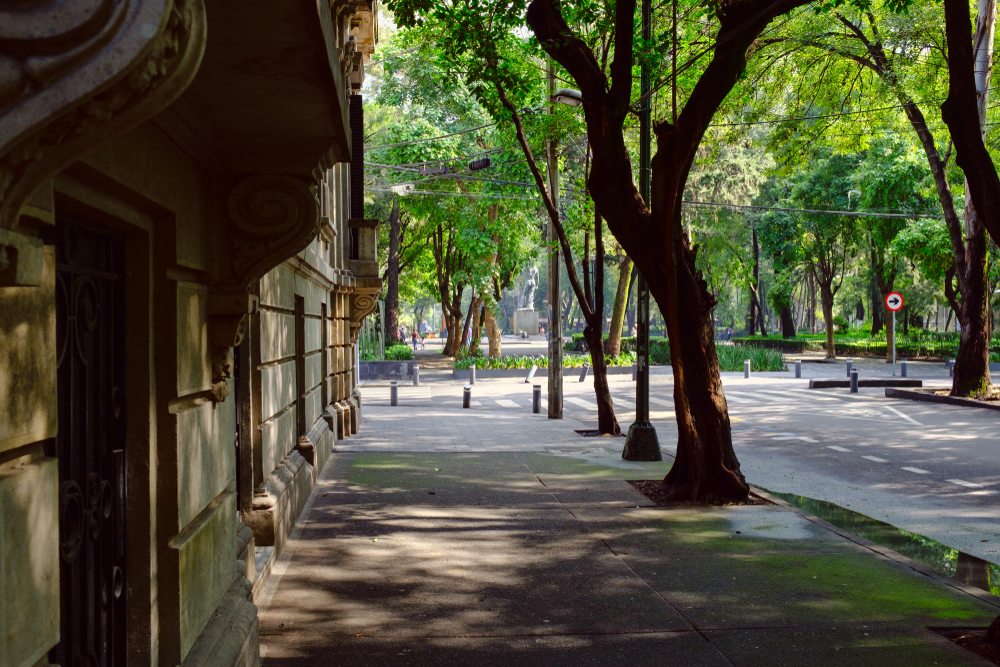 Street in the Roma Norte neighbourhood in Mexico City