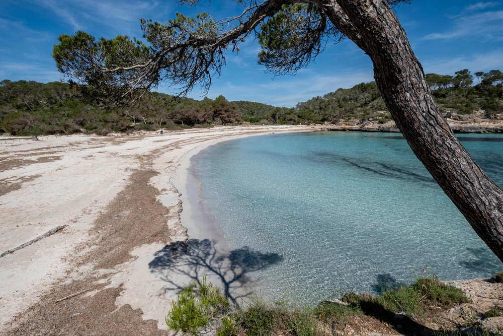 The beach of s'Amarador in Mondragó Natural Park in Mallorca