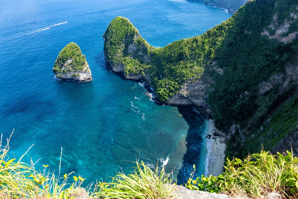 The cliff at Kelingking Beach on Nusa Penida