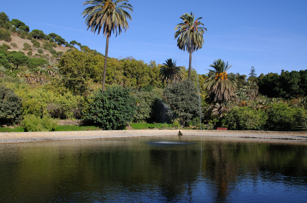 The lake in the La Concepción Botanical Garden in Malaga