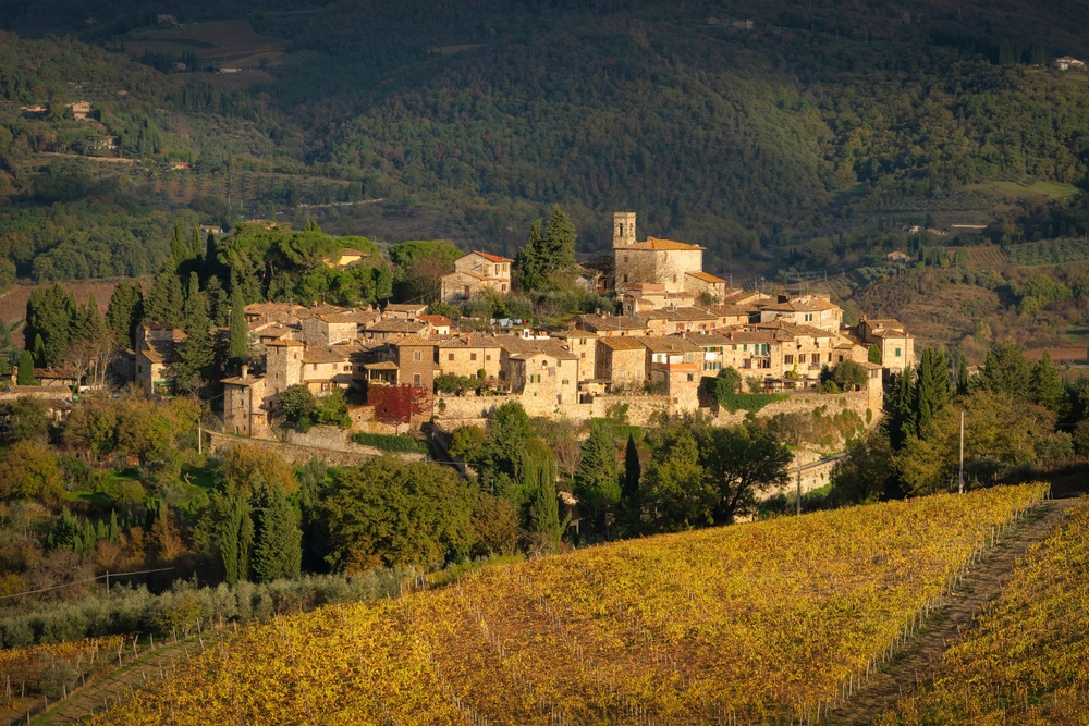 The village of Montefioralle and the vineyards near Greve in Chianti