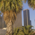 19 Best Things to Do in Los Angeles: Sights, Prices & Tips