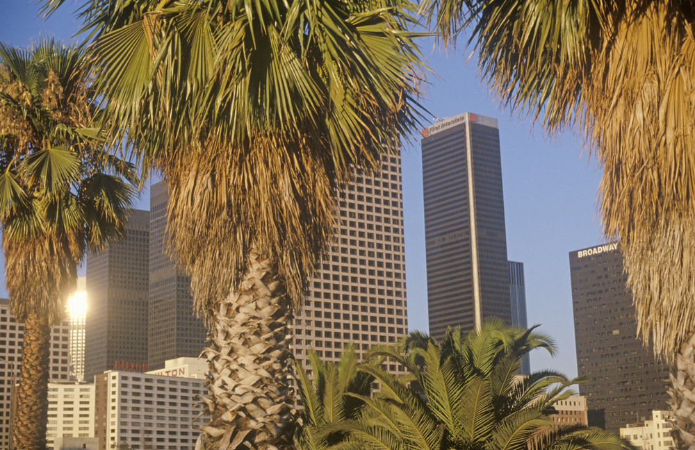 Downtown Los Angeles seen through palm trees