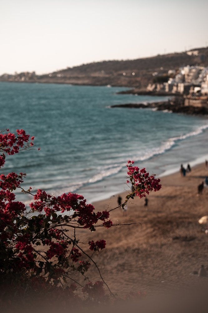 The beach and houses in the surf town of Taghazout, north of Agadir