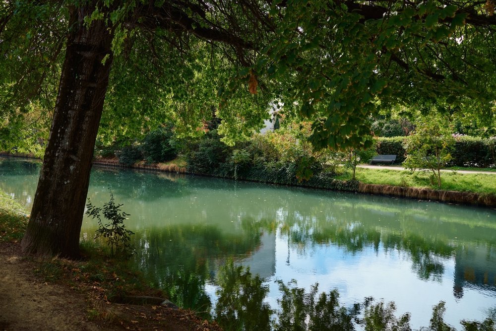 The Canal du Midi with plane trees reflected in the water in Toulouse