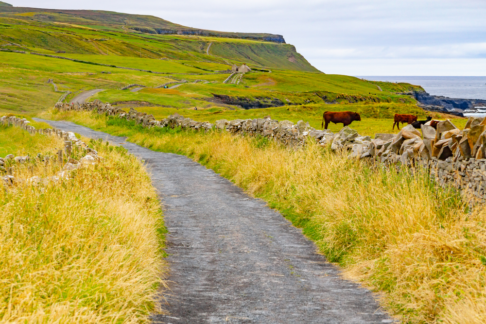 Where to Stay in Ireland? The 6 Best Towns & Places to Stay 11 The village of Doolin with houses and fields in County Clare