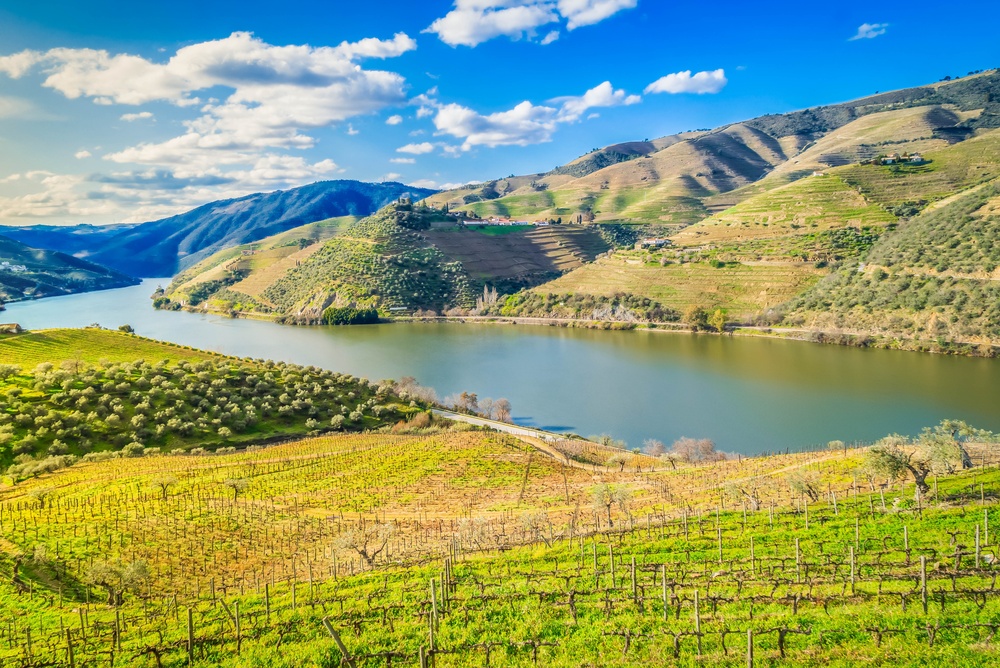 17 Best Things to Do in Porto: Sights, Prices & Tips 17 Vineyard terraces along the river in the Douro Valley in Portugal