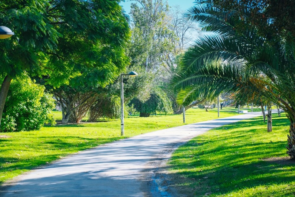 The green Turia Gardens in the city centre