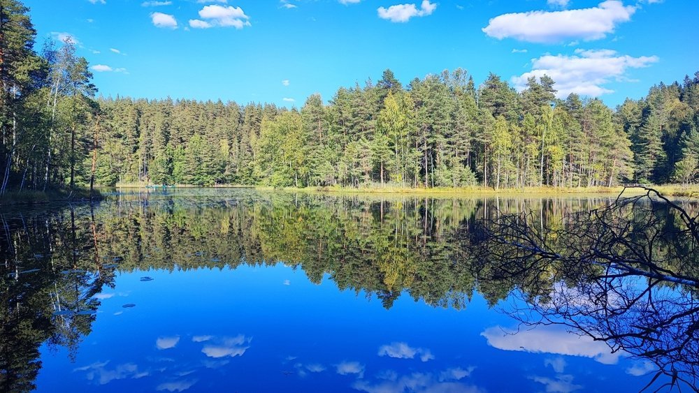 Lake and forest in Nuuksio National Park near Helsinki