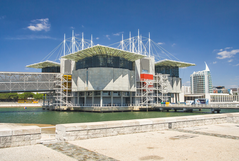 20 Best Things to Do in Lisbon: Sights, Prices & Tips 39 Oceanário de Lisboa in Parque das Nações