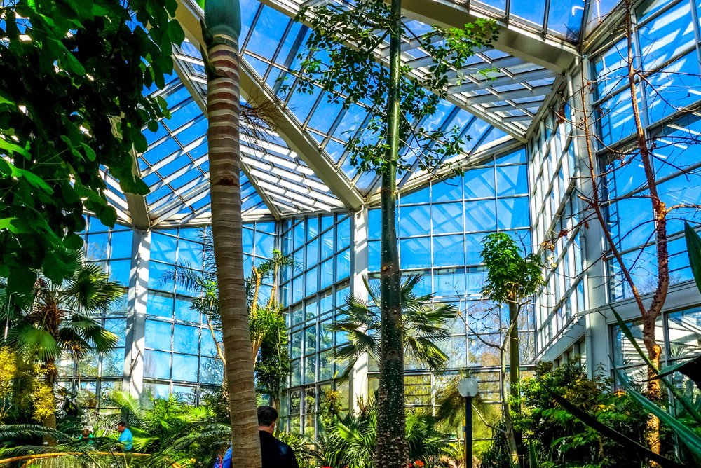 The Palmengarten botanical garden in Frankfurt