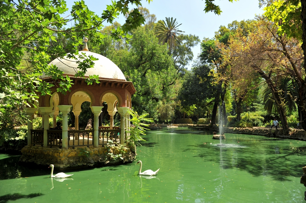 Swans on the duck pond by the pavilion in the Parque de María Luisa in Seville
