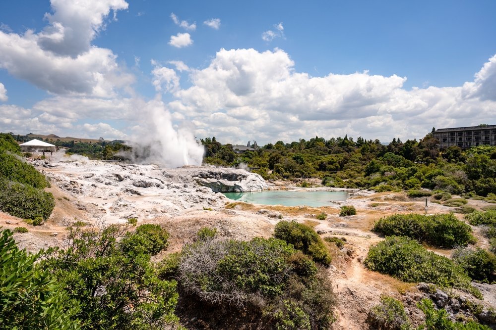 Pohutu Geyser erupting at Te Puia in Whakarewarewa, Rotorua