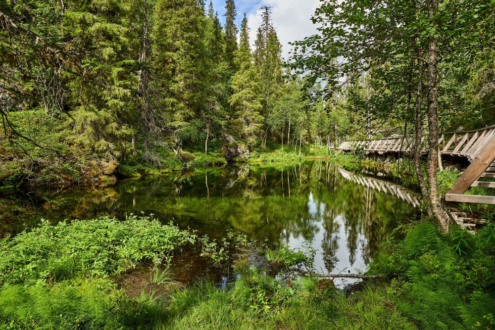 Nature in Pyhä-Luosto National Park near Luosto in Lapland