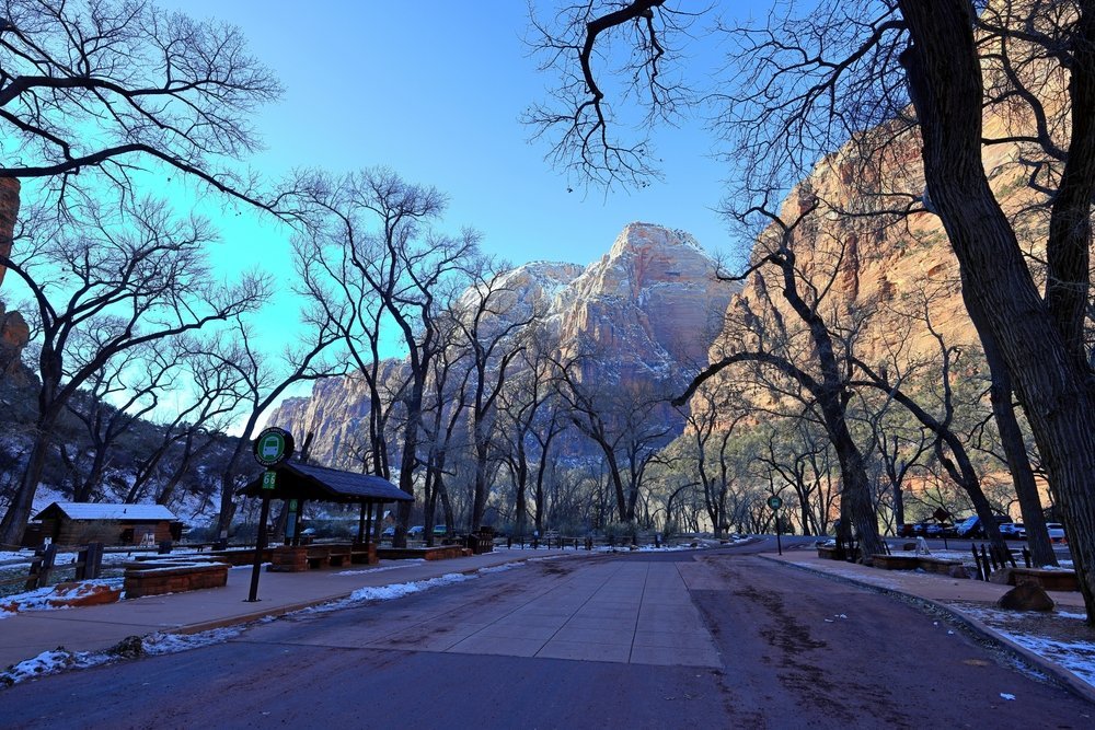 Where to Stay in the United States? The 15 Best Places & Good Hotels 13 Red cliffs in Zion National Park near Springdale in Utah