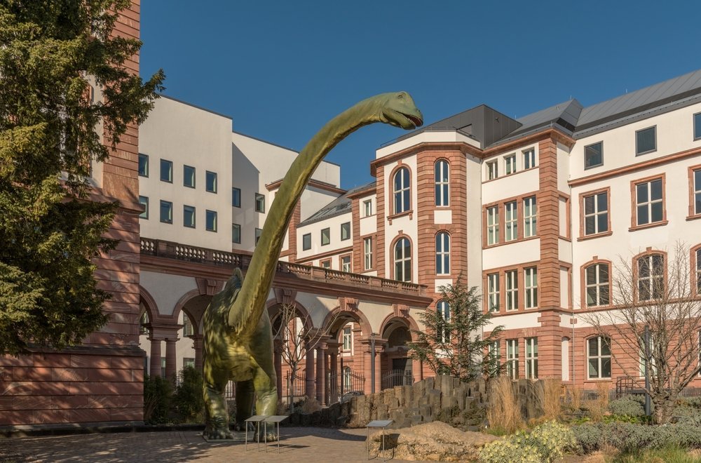 Senckenberg Naturmuseum on Senckenberganlage in Frankfurt