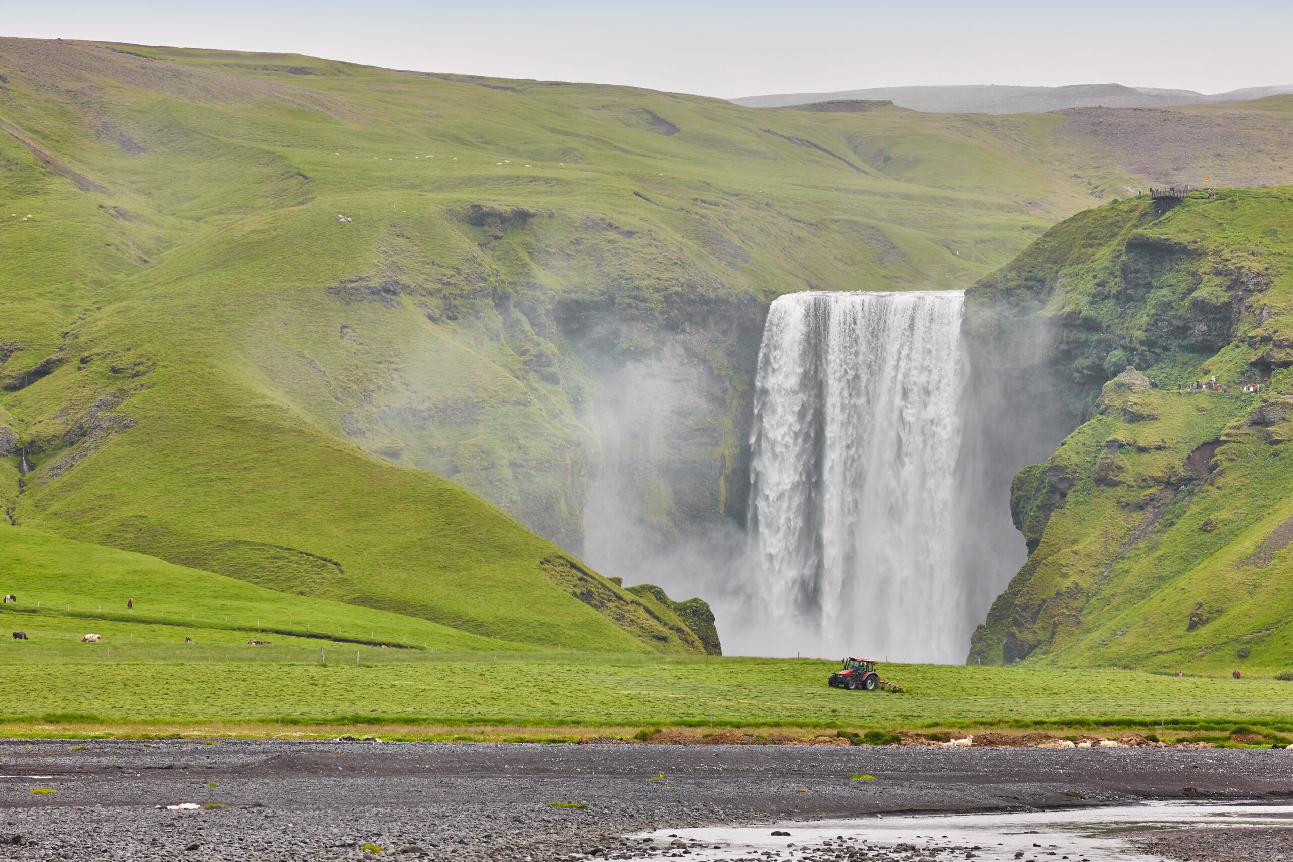 Skógafoss surrounded by green grass