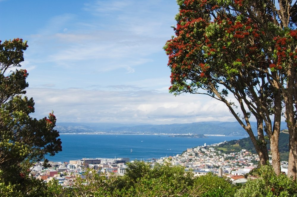 Wellington city centre and harbour seen across Oriental Bay