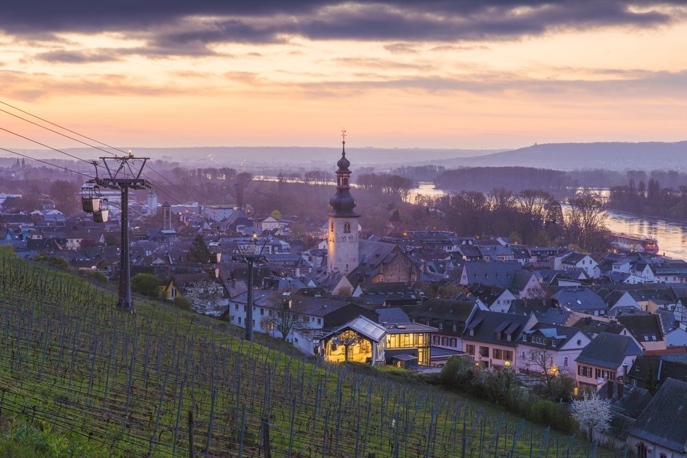 The wine town of Rüdesheim am Rhein with the vineyards above the Rhine